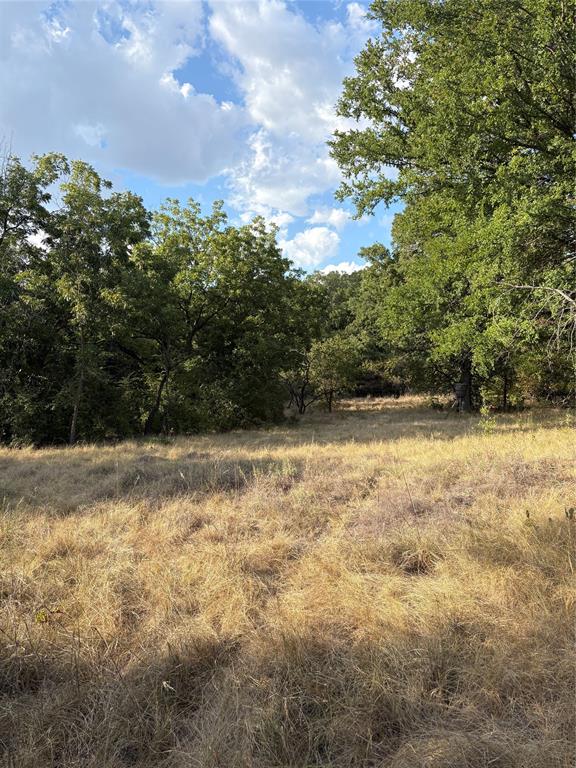 271 Wyatt Road Jacksboro, TX 76458 - Photo 25 of 40 Expansive natural landscape featuring mature trees and open grassy areas