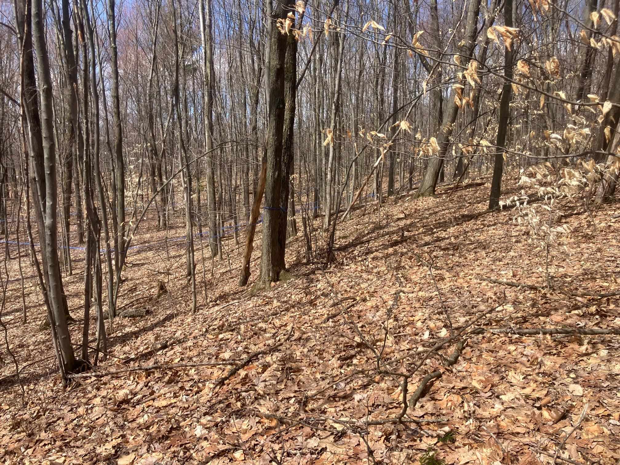 74 Jedware Circle, Unit LOT 102 Swanton, VT 05488 - Photo 6 of 15