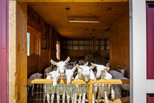 $1,495,000 | 60 Danforth Road, China, ME 04358