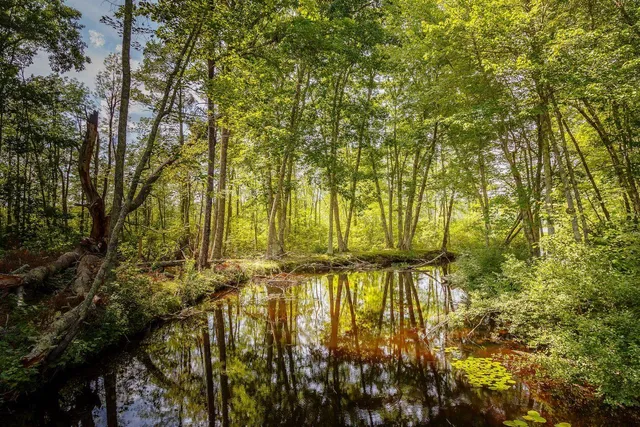 $1,495,000 | 60 Danforth Road, China, ME 04358