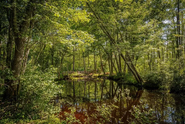 $1,495,000 | 60 Danforth Road, China, ME 04358