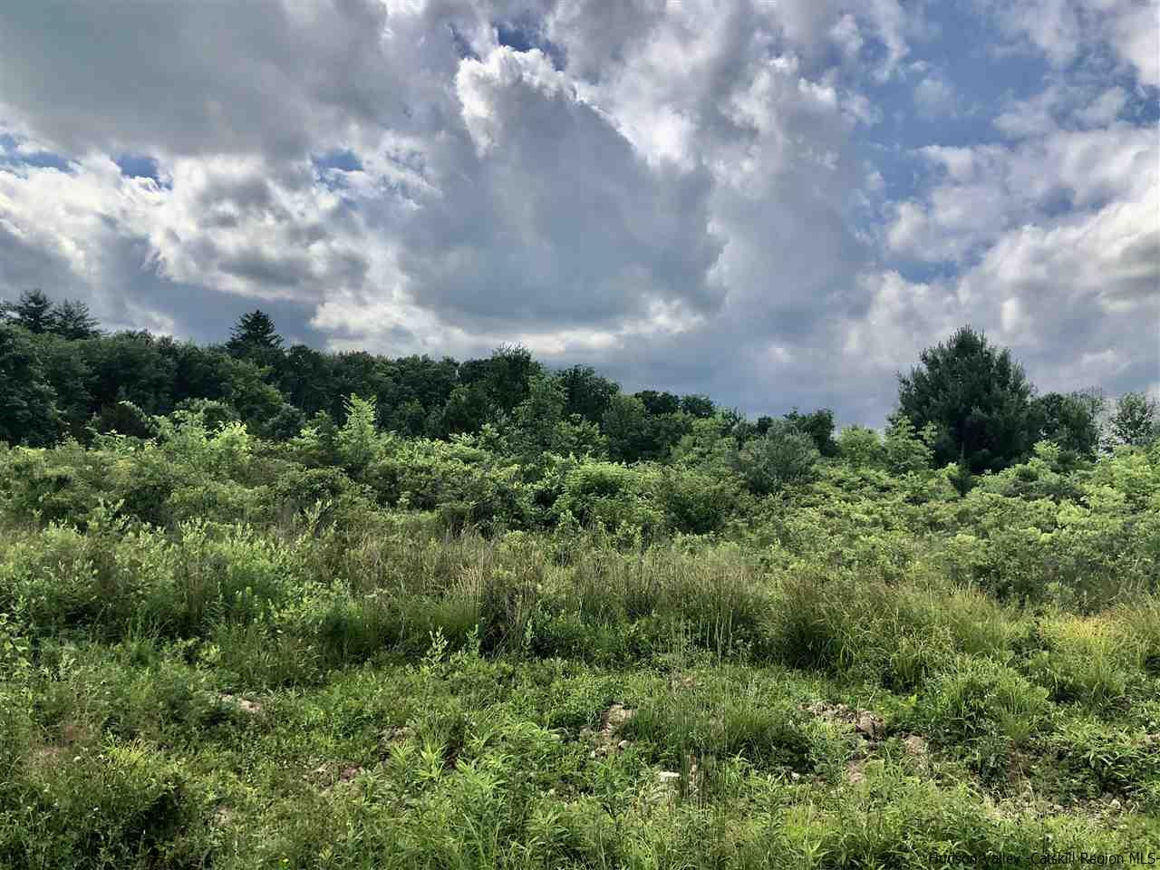 11 Crestview High Falls Stone Ridge, NY 12484 - Photo 3 of 8 Photo 3