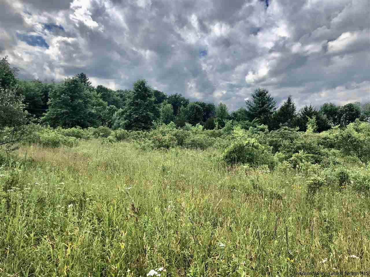 11 Crestview High Falls Stone Ridge, NY 12484 - Photo 6 of 8 Photo 6