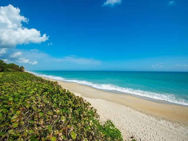 a view of a ocean beach