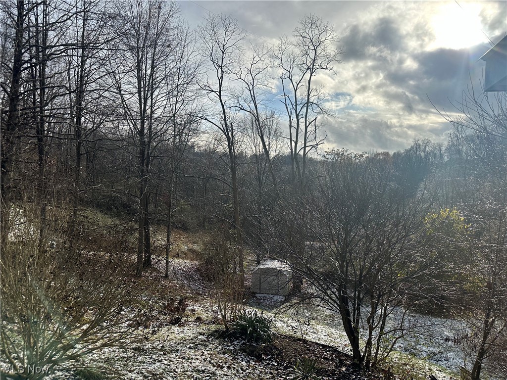 3536 Pike Road St. Marys, WV 26170 - Photo 4 of 12