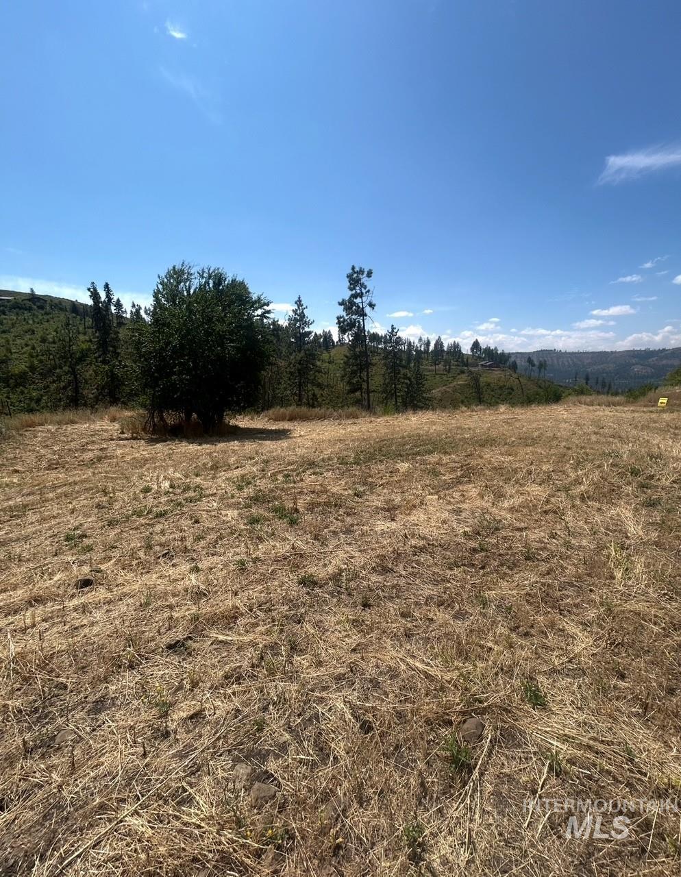 355 Glenwood Road Kamiah, ID 83536 - Photo 9 of 12