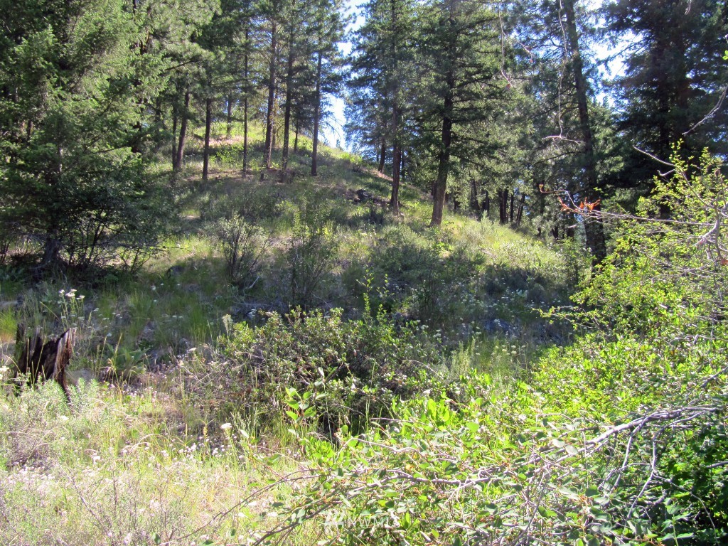 3 Wintergreen Road Winthrop, WA 98862 - Photo 11 of 20