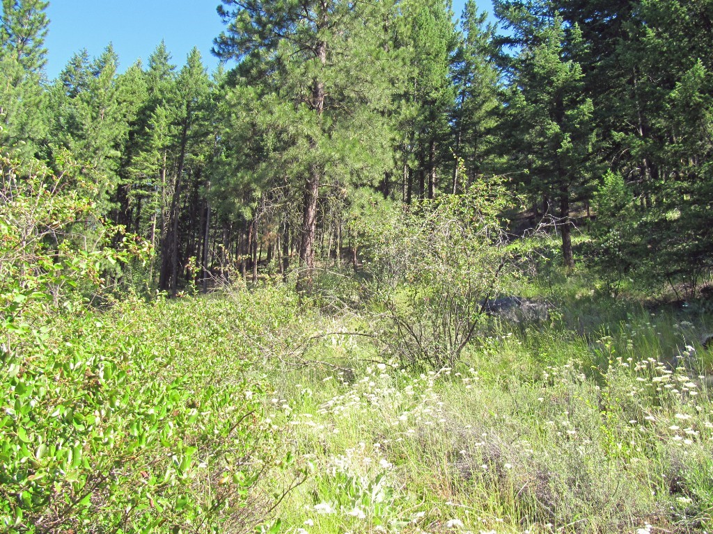 3 Wintergreen Road Winthrop, WA 98862 - Photo 12 of 20