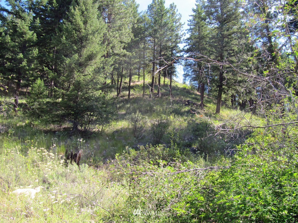 3 Wintergreen Road Winthrop, WA 98862 - Photo 13 of 20
