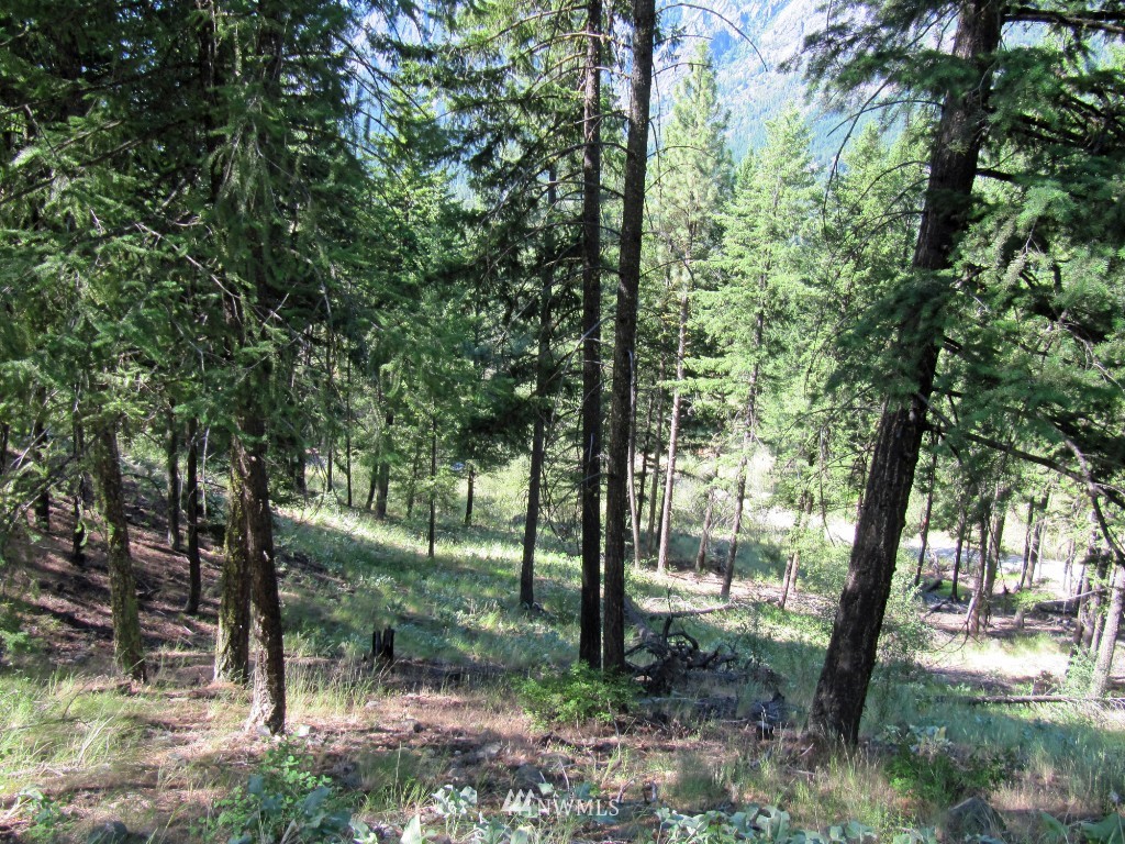 3 Wintergreen Road Winthrop, WA 98862 - Photo 14 of 20