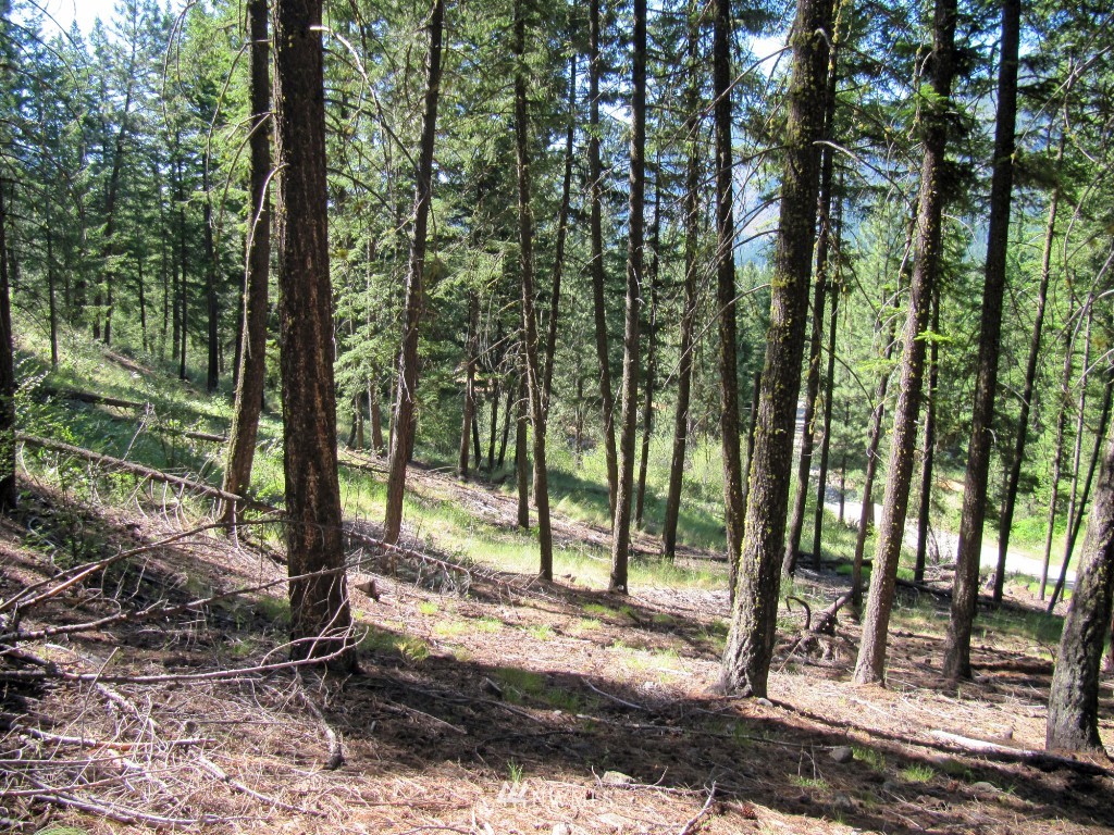3 Wintergreen Road Winthrop, WA 98862 - Photo 15 of 20