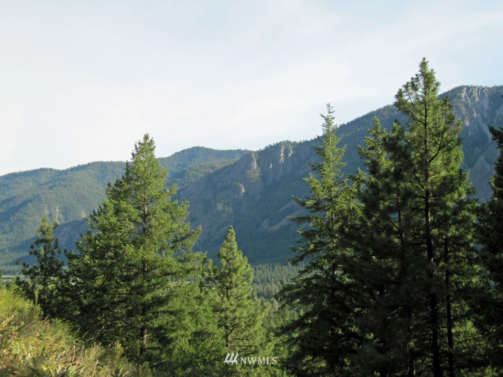 3 Wintergreen Road Winthrop, WA 98862 - Photo 17 of 20