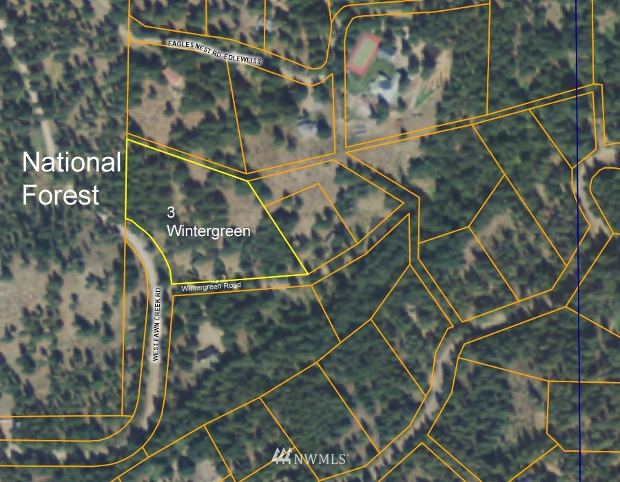 3 Wintergreen Road Winthrop, WA 98862 - Photo 20 of 20