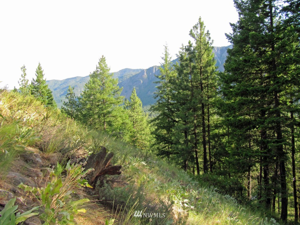 3 Wintergreen Road Winthrop, WA 98862 - Photo 4 of 20