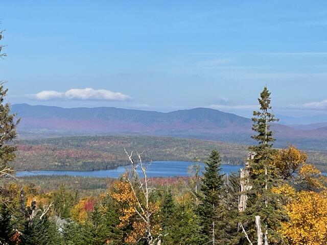 82 Magalloway Circle Sandy River Plt, ME 04970 - Photo 53 of 55 IMG_2230