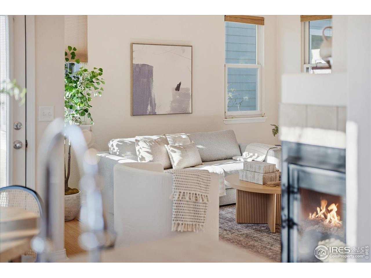 2287 Trestle Road Fort Collins, CO 80525 - Photo 15 of 40 a living room with furniture and a potted plant