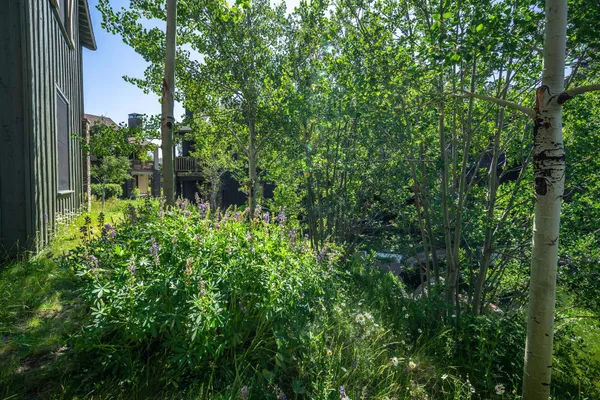$899,000 | 1121 Pyramid Peak Drive, Unit 1121, Mammoth Lakes, CA 93546