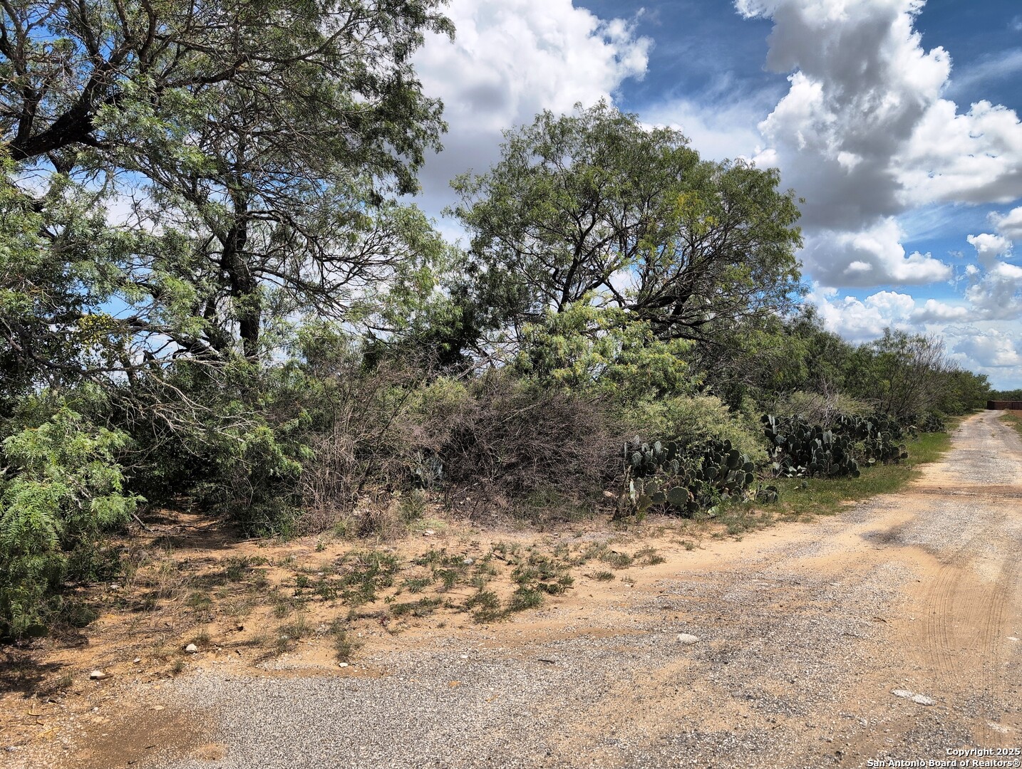 Tbd Cooksey Road Adkins, TX 78101 - Photo 22 of 38