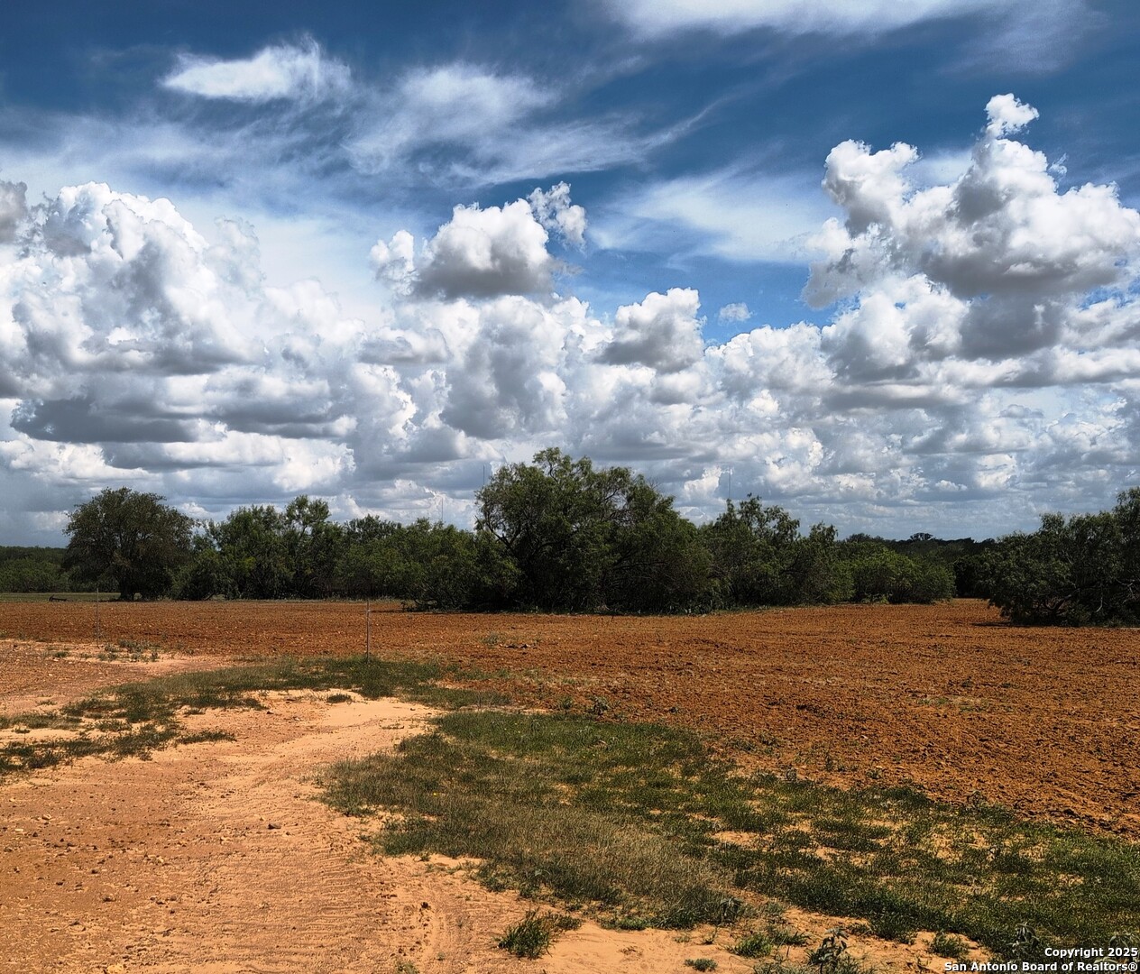 Tbd Cooksey Road Adkins, TX 78101 - Photo 25 of 38
