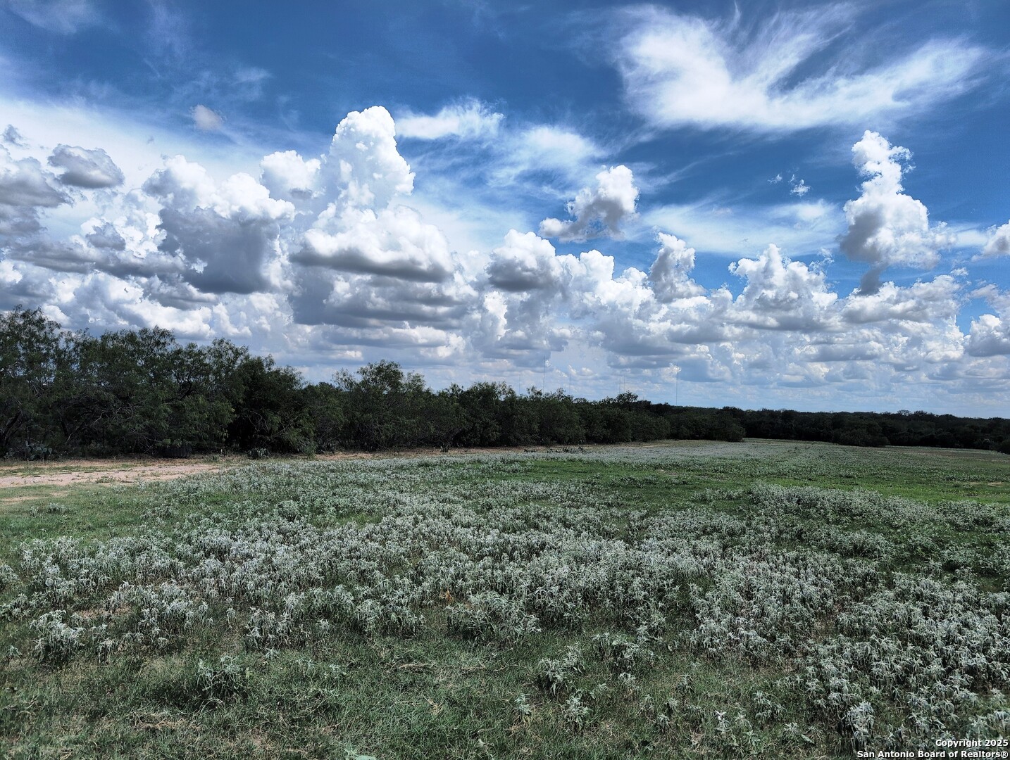 Tbd Cooksey Road Adkins, TX 78101 - Photo 36 of 38