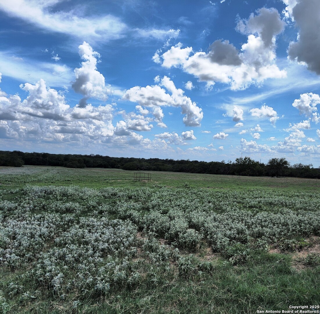 Tbd Cooksey Road Adkins, TX 78101 - Photo 37 of 38