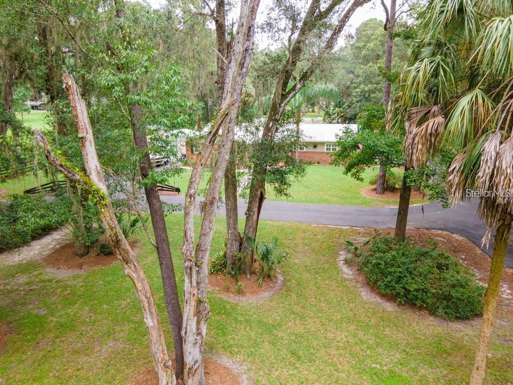 3341 Southeast 45th Street Ocala, FL 34480 - Photo 38 of 50 a view of yard