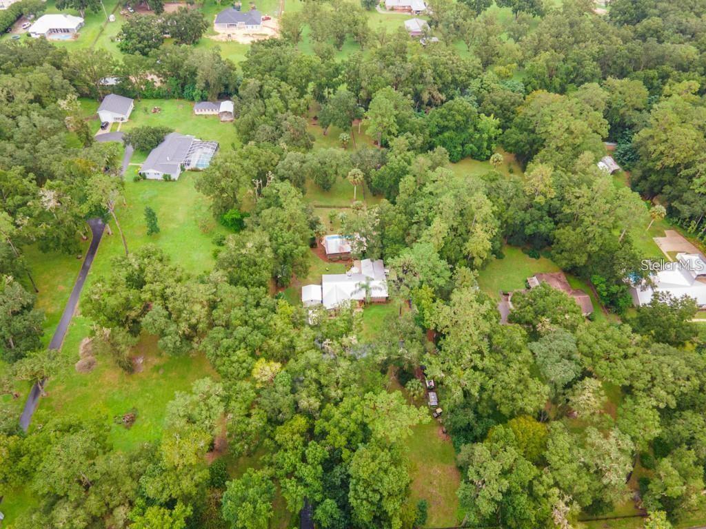 3341 Southeast 45th Street Ocala, FL 34480 - Photo 45 of 50 a view of a yard