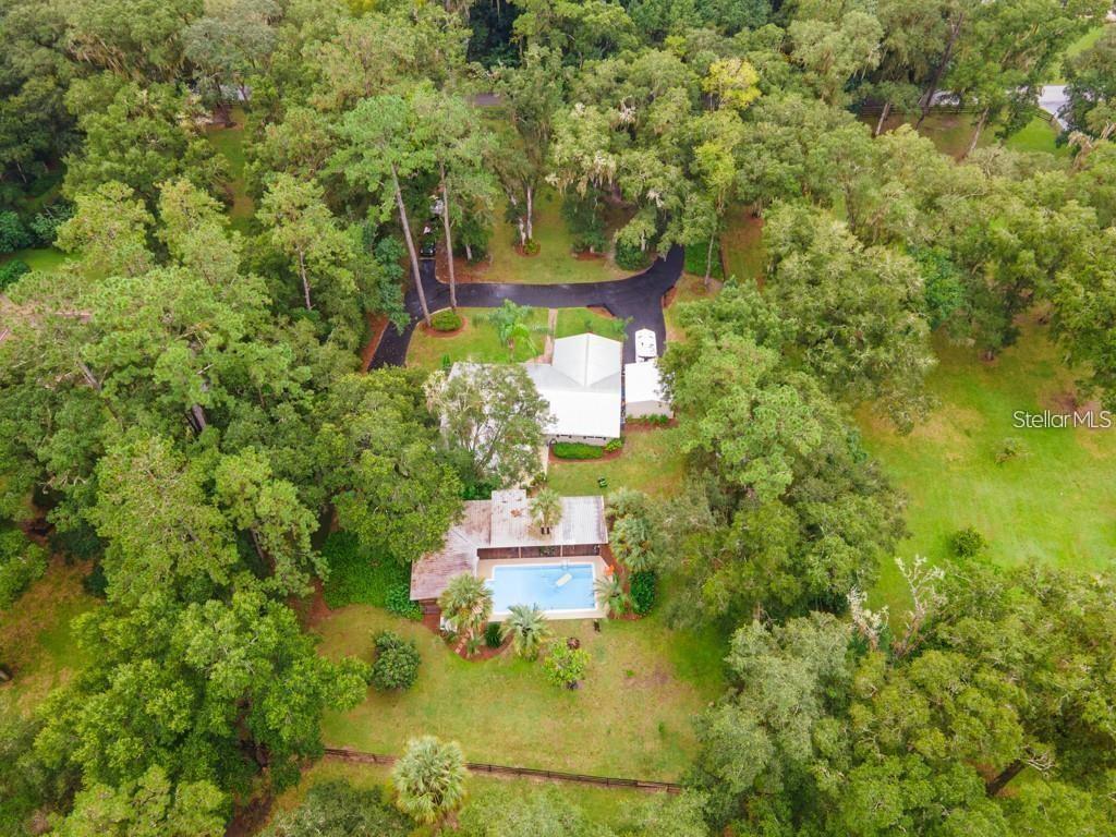 3341 Southeast 45th Street Ocala, FL 34480 - Photo 47 of 50 a view of a tree with a yard