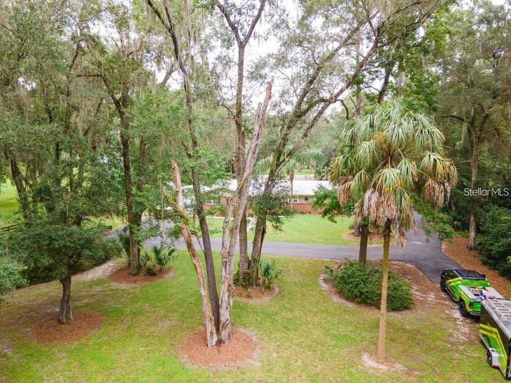 3341 Southeast 45th Street Ocala, FL 34480 - Photo 49 of 50 a view of a park