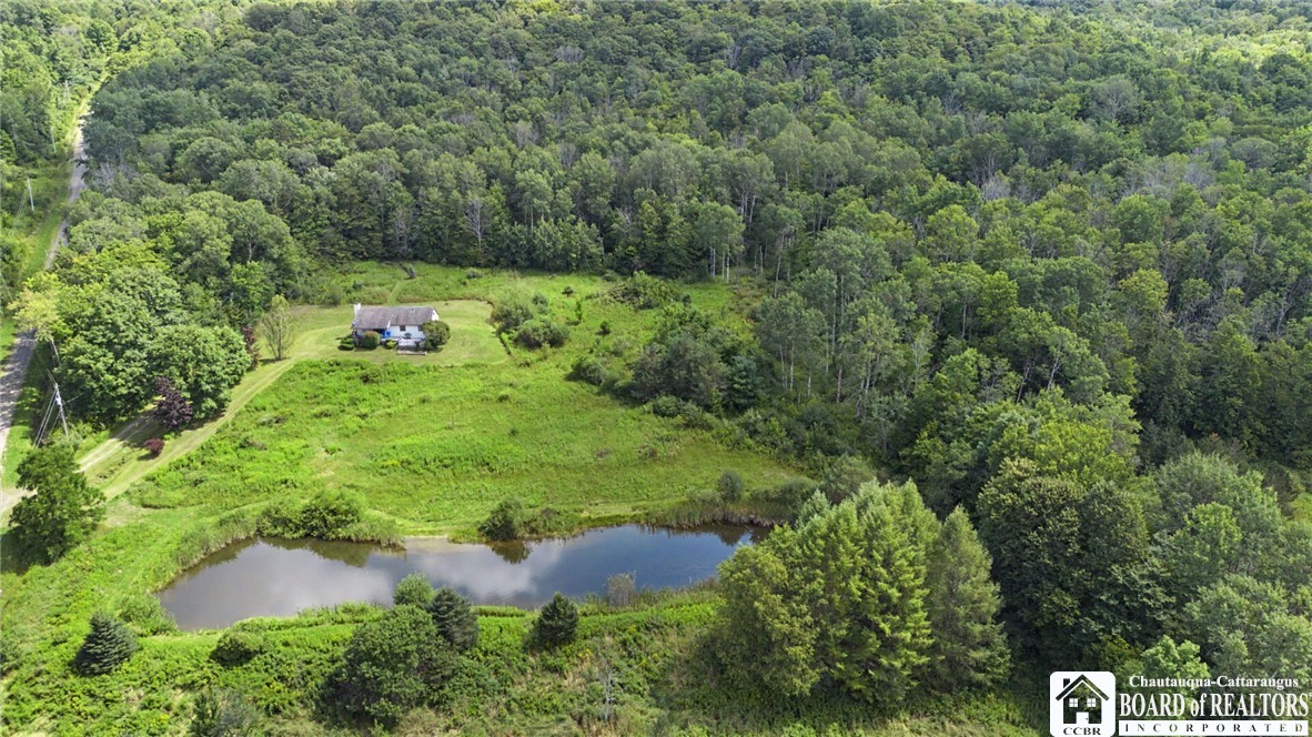 4535 Oliver Road Franklinville, NY 14737 - Photo 44 of 50 Gallery Image 44