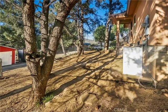 a view of a yard with plants and trees