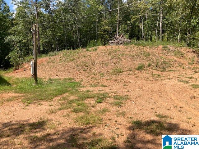 1131 Co Road, Unit METES AND BOUNDS Prattville, AL 36067 - Photo 4 of 7