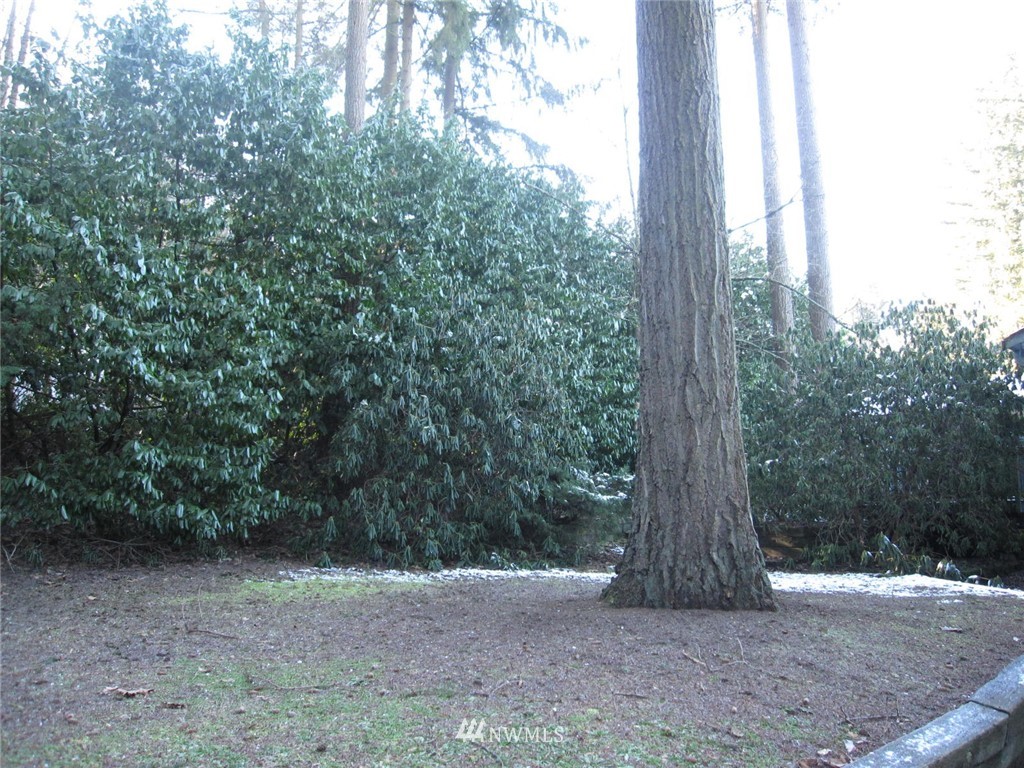12719 Southeast 95th Place Renton, WA 98056 - Photo 2 of 17 Gallery Image 2