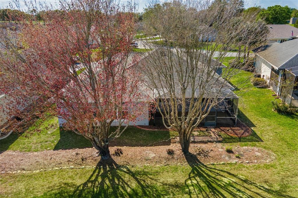 11614 Southeast 172nd Loop Summerfield, FL 34491 - Photo 38 of 55 a view of a backyard