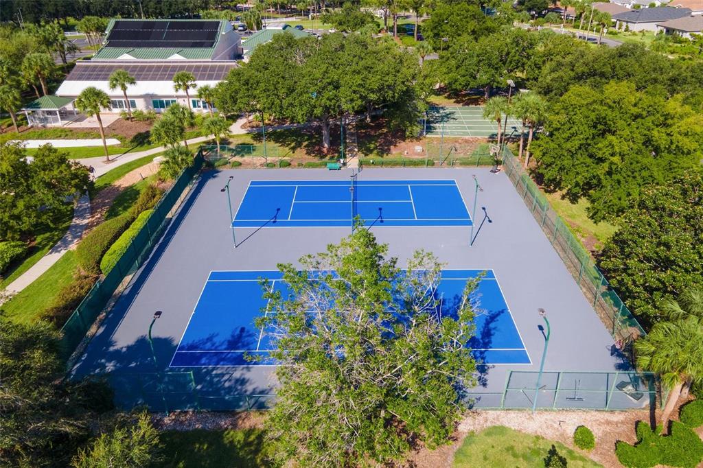 11614 Southeast 172nd Loop Summerfield, FL 34491 - Photo 47 of 55 a view of a yard with plants