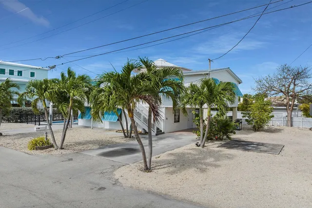 a view of a palm tree with a yard