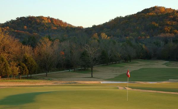 1313 Eliot Road Franklin, TN 37064 - Photo 19 of 20 Gallery Image 19