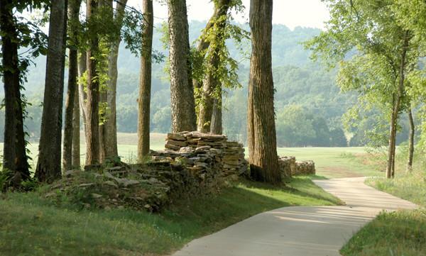 1313 Eliot Road Franklin, TN 37064 - Photo 20 of 20 Gallery Image 20