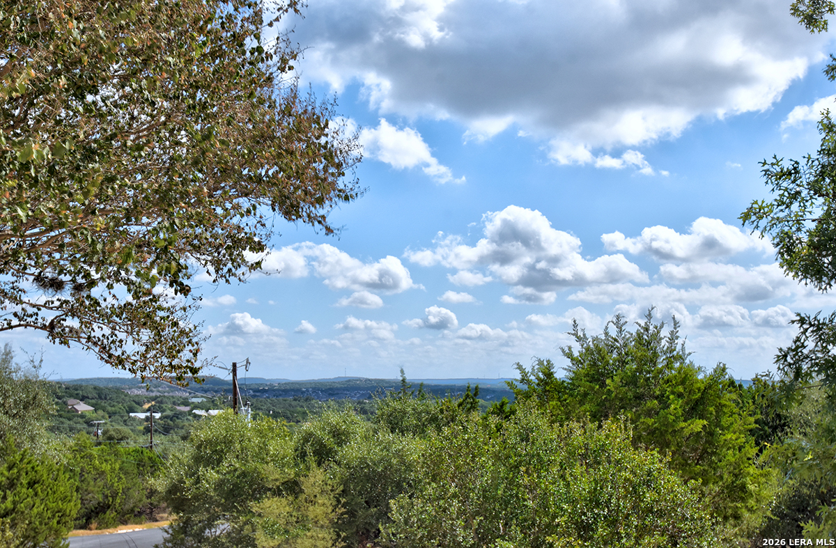 181 Quercus Lane Spring Branch, TX 78070 - Photo 3 of 31 Gallery Image 3