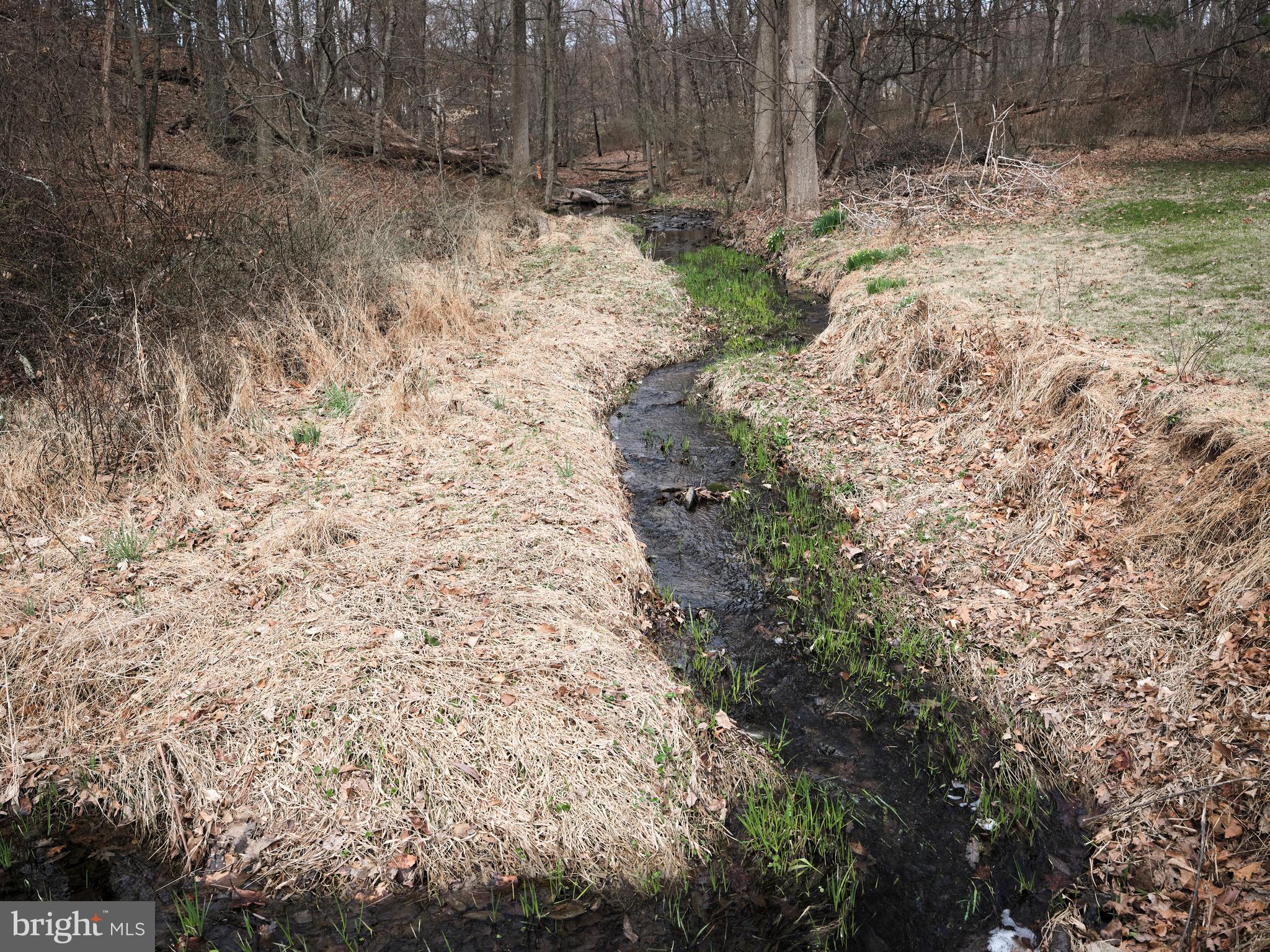 4902 Anderson Road Doylestown, PA 18902 - Photo 38 of 46 a view of a yard with trees