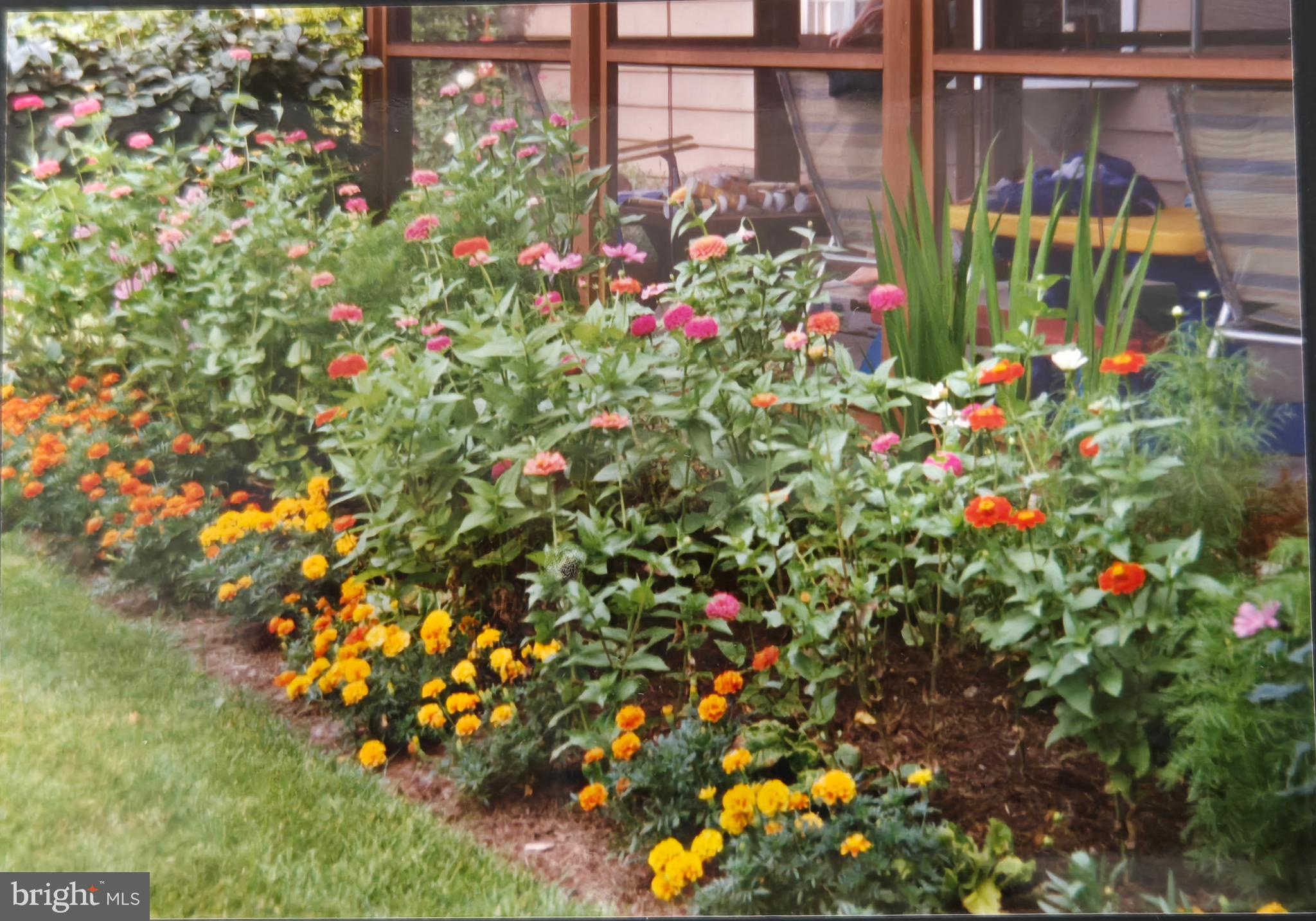 4902 Anderson Road Doylestown, PA 18902 - Photo 39 of 46 a view of a flower in a garden