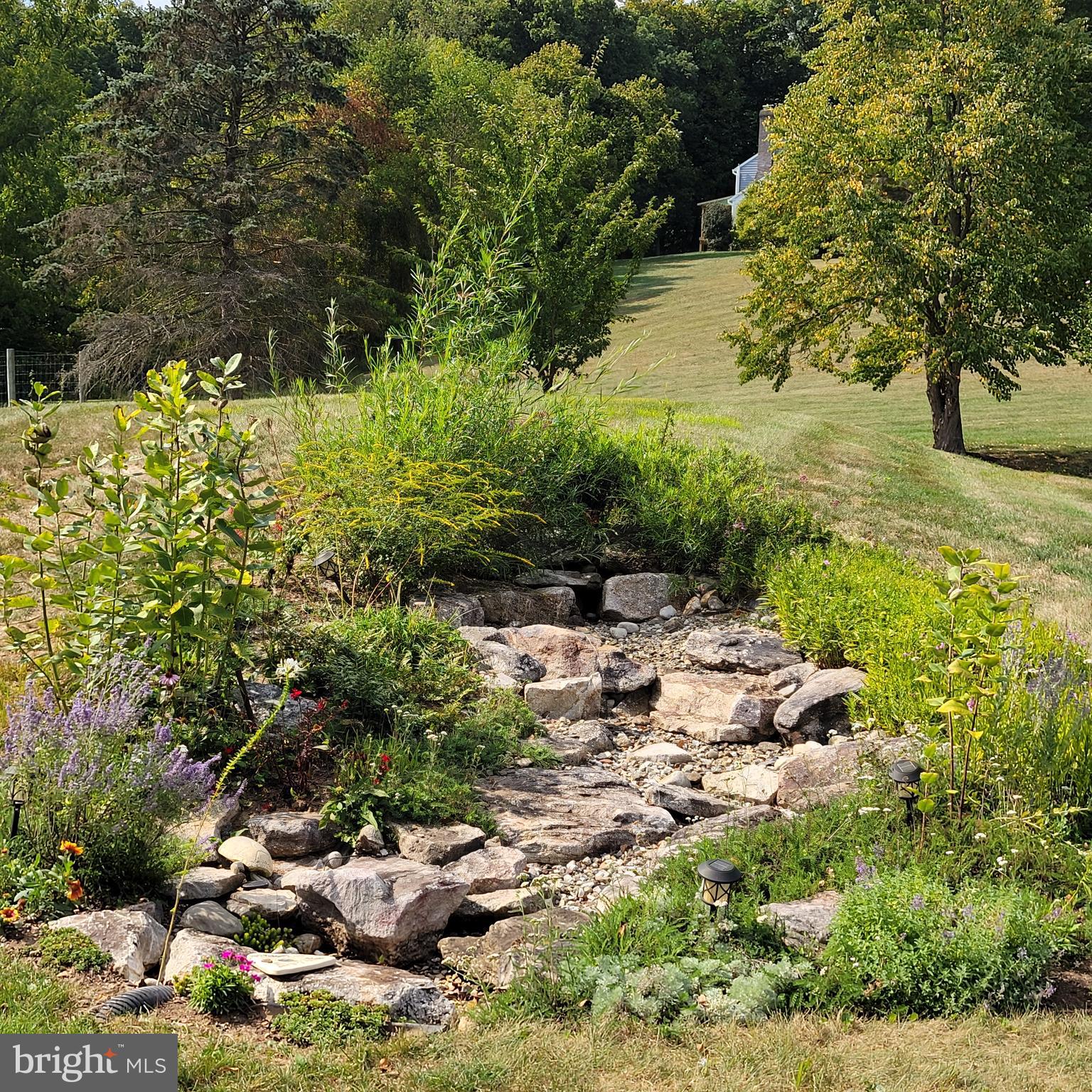 4902 Anderson Road Doylestown, PA 18902 - Photo 42 of 46 a view of a tree with a park