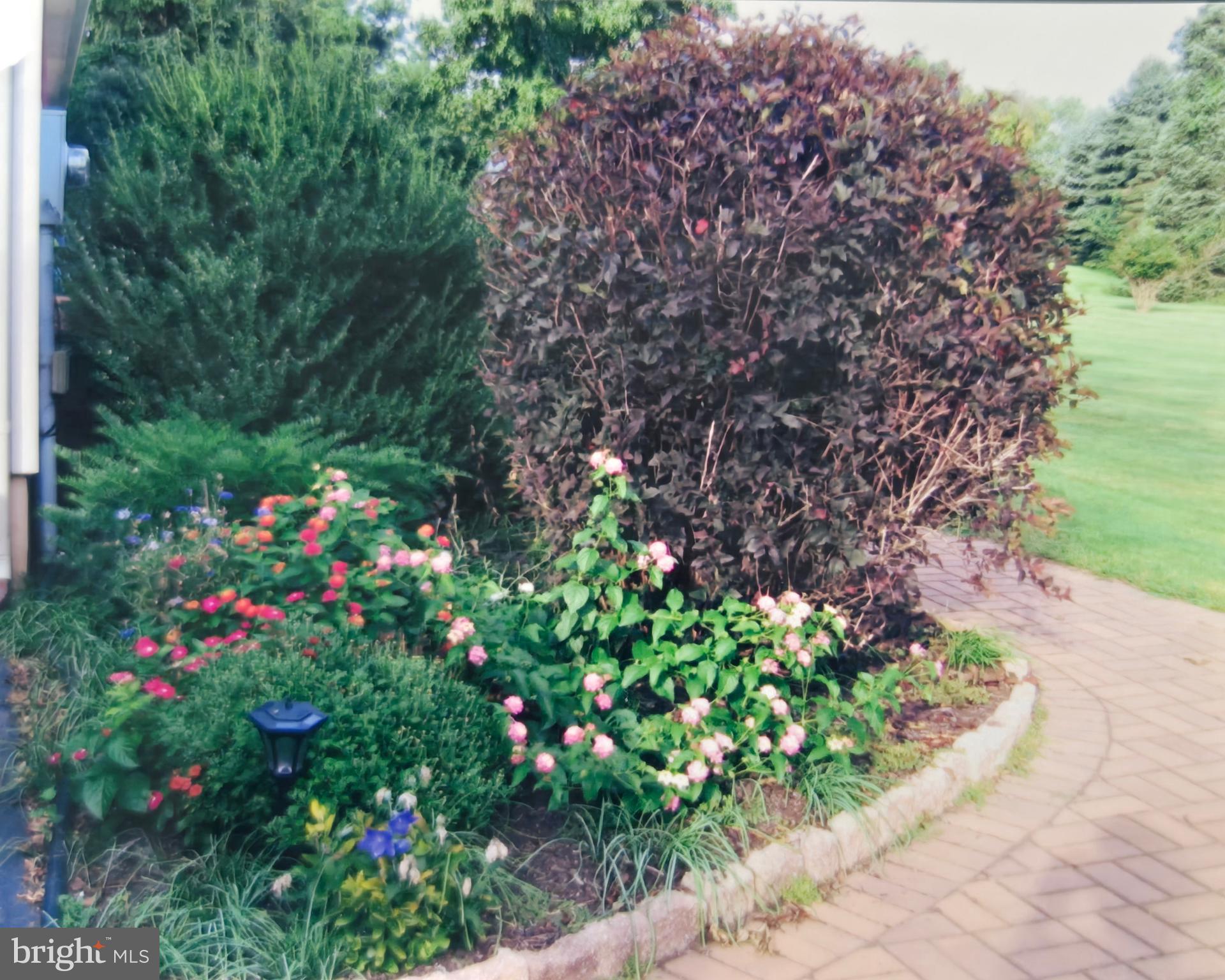 4902 Anderson Road Doylestown, PA 18902 - Photo 46 of 46 a flower garden in a garden