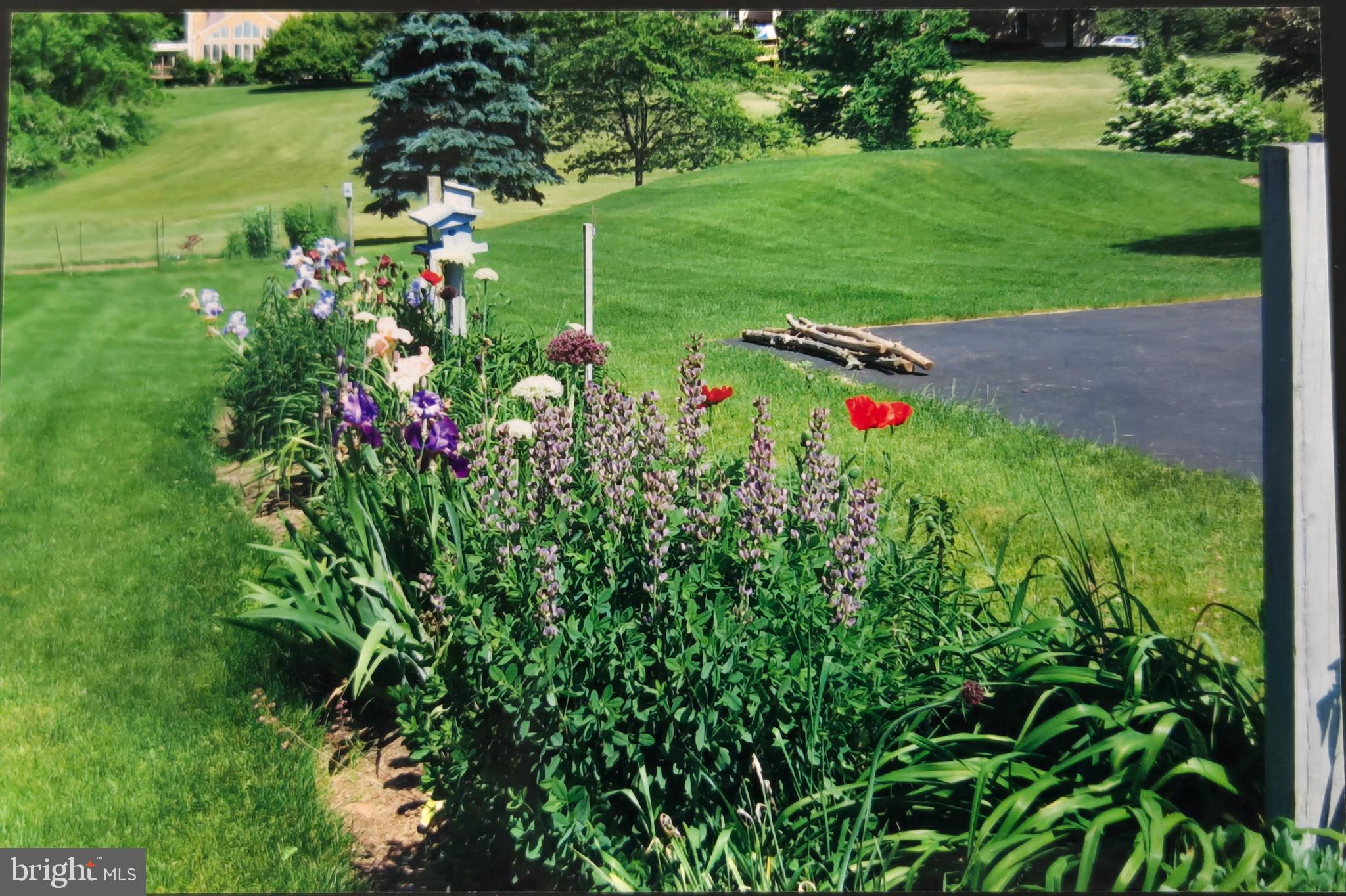 4902 Anderson Road Doylestown, PA 18902 - Photo 9 of 46 a view of a backyard with plants