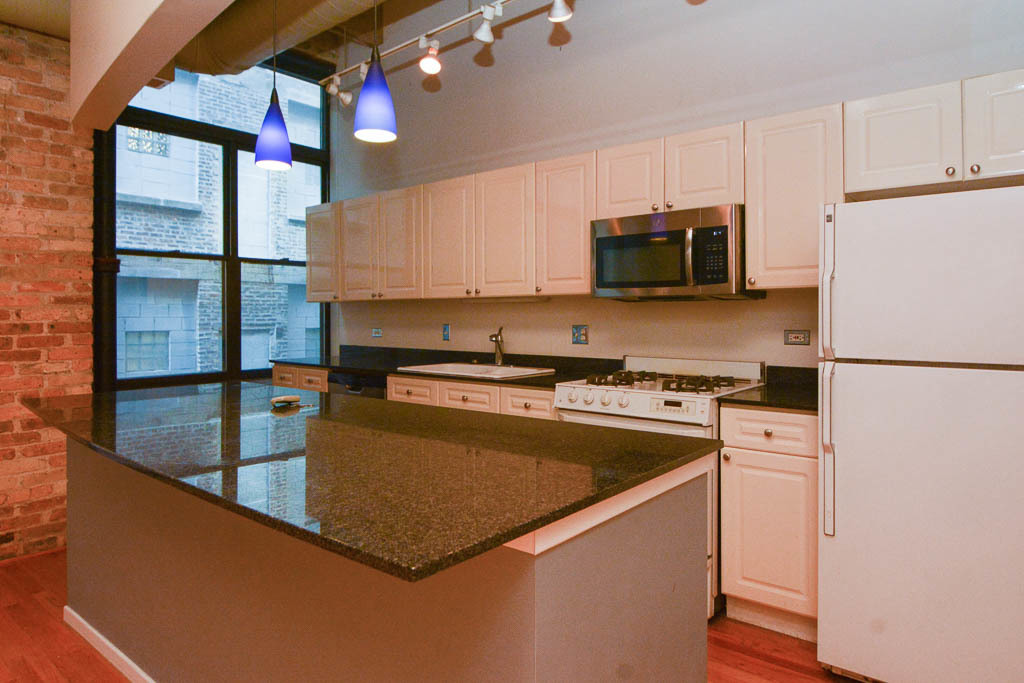 375 West Erie Street, Unit 321 Chicago, IL 60654 - Photo 7 of 19