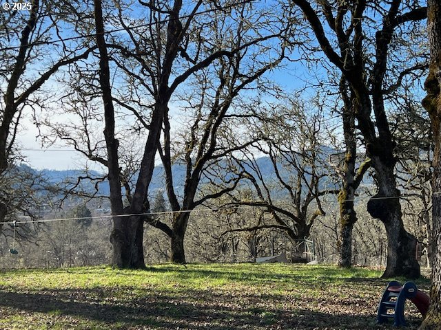 485 Shoestring Road Riddle, OR 97469 - Photo 22 of 37