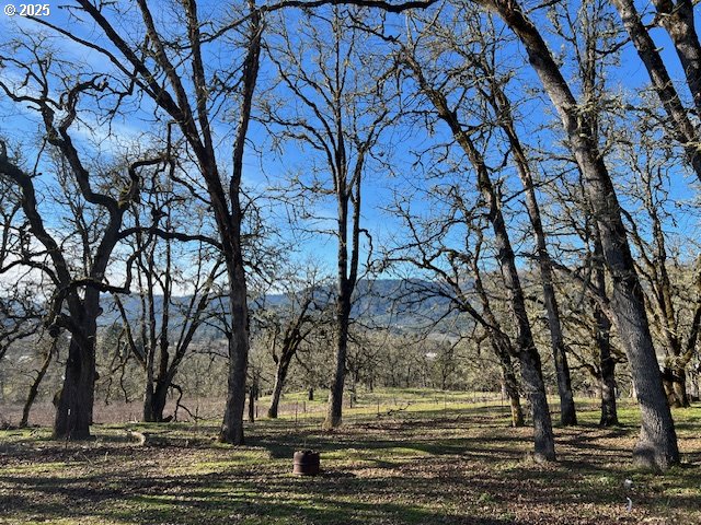 485 Shoestring Road Riddle, OR 97469 - Photo 23 of 37