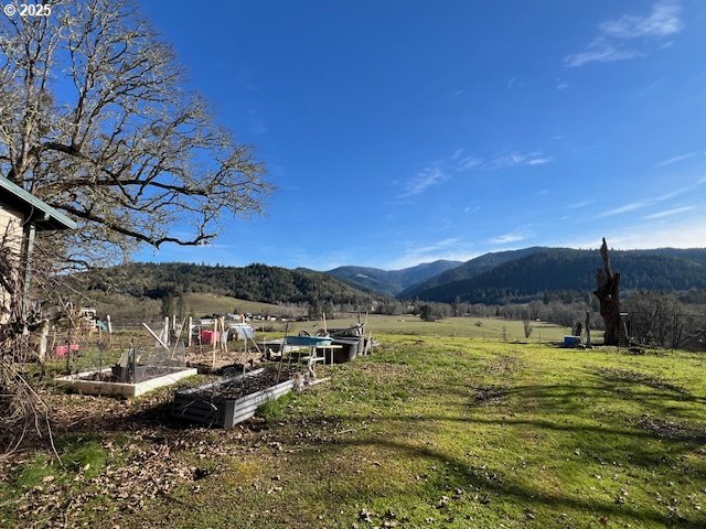 485 Shoestring Road Riddle, OR 97469 - Photo 31 of 37