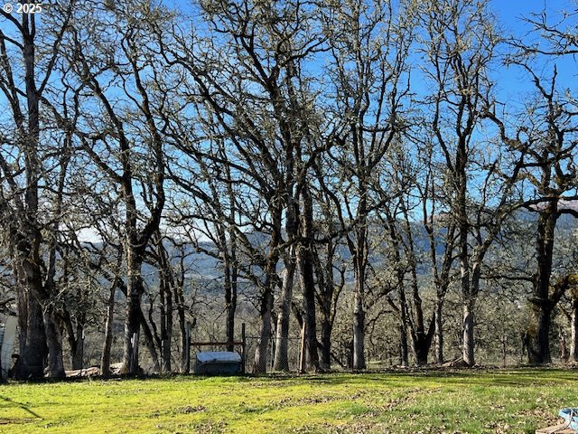 485 Shoestring Road Riddle, OR 97469 - Photo 35 of 37