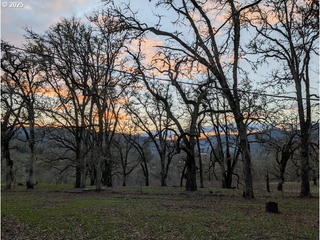 485 Shoestring Road Riddle, OR 97469 - Photo 36 of 37